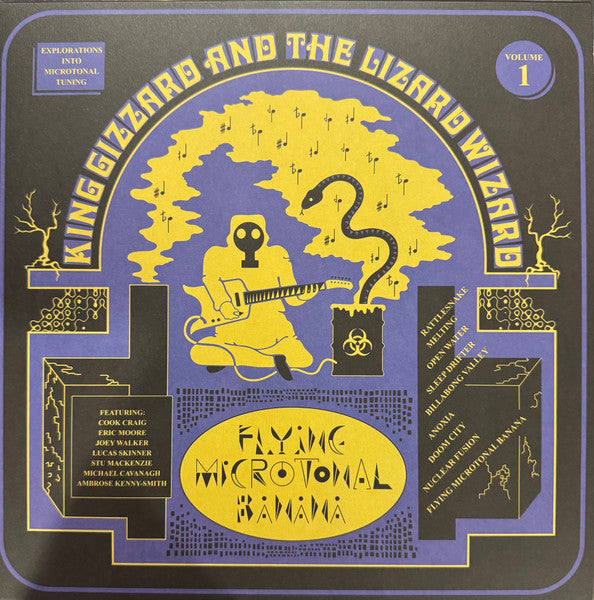 King Gizzard and the Lizard Wizard - Flying Microtonal Banana